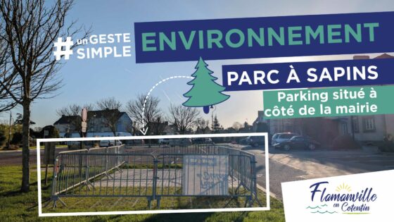 ENVIRONNEMENT | Parc à Sapins