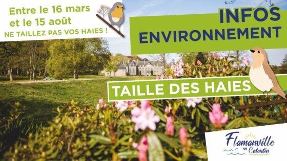 INFOS ENVIRONNEMENT | Taille des haires