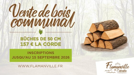 Vente de bois communal